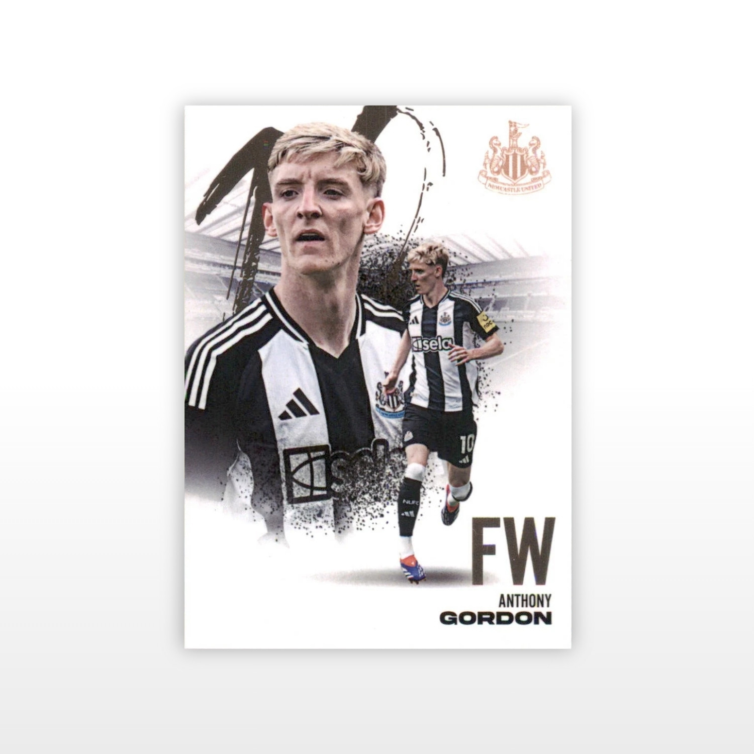 Futera Newcastle United FX Hobby Box 2024/25