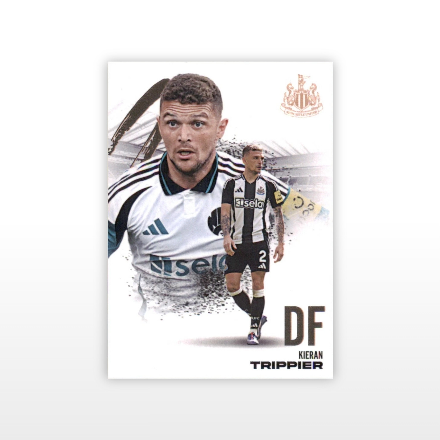 Futera Newcastle United FX Hobby Box 2024/25