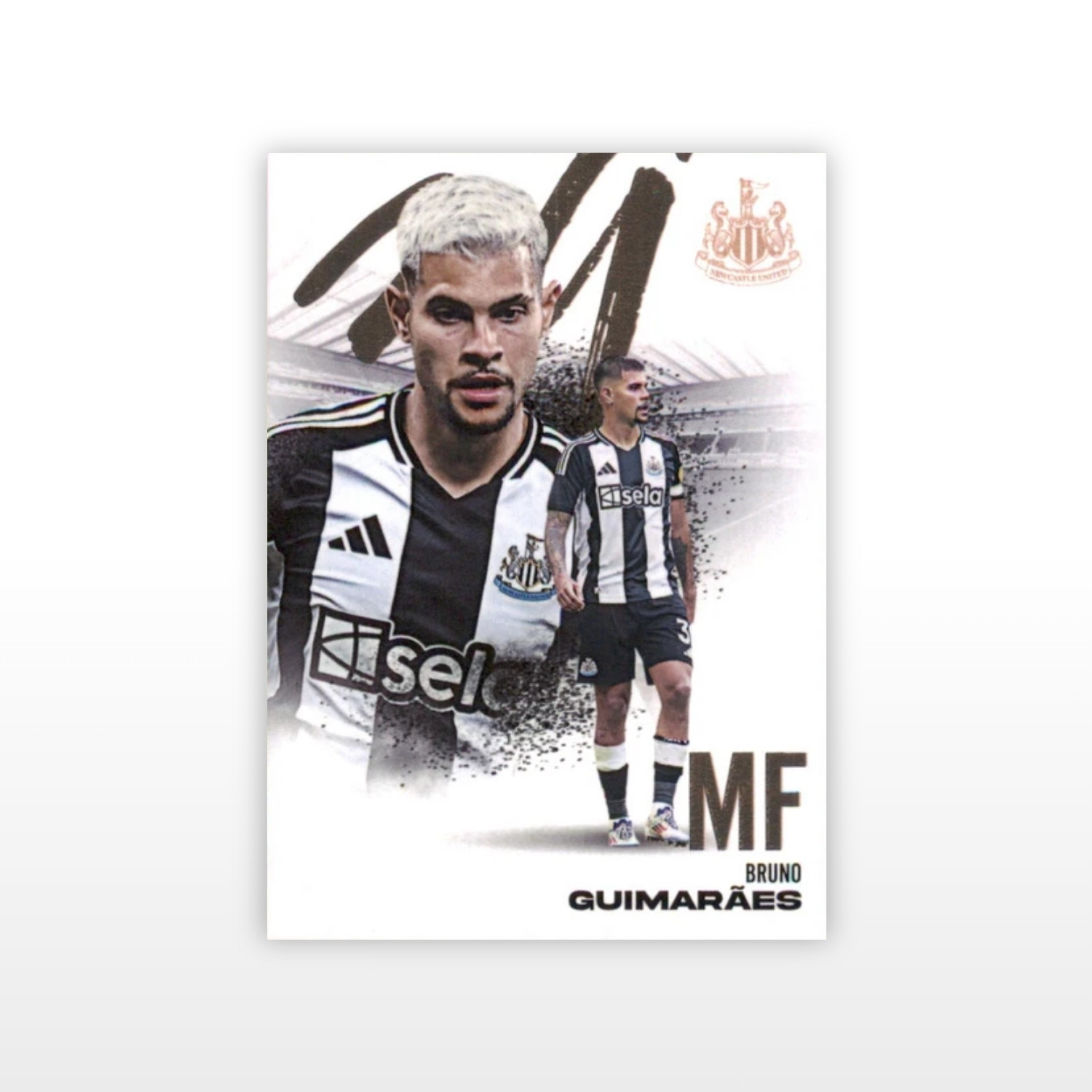 Futera Newcastle United FX Hobby Box 2024/25