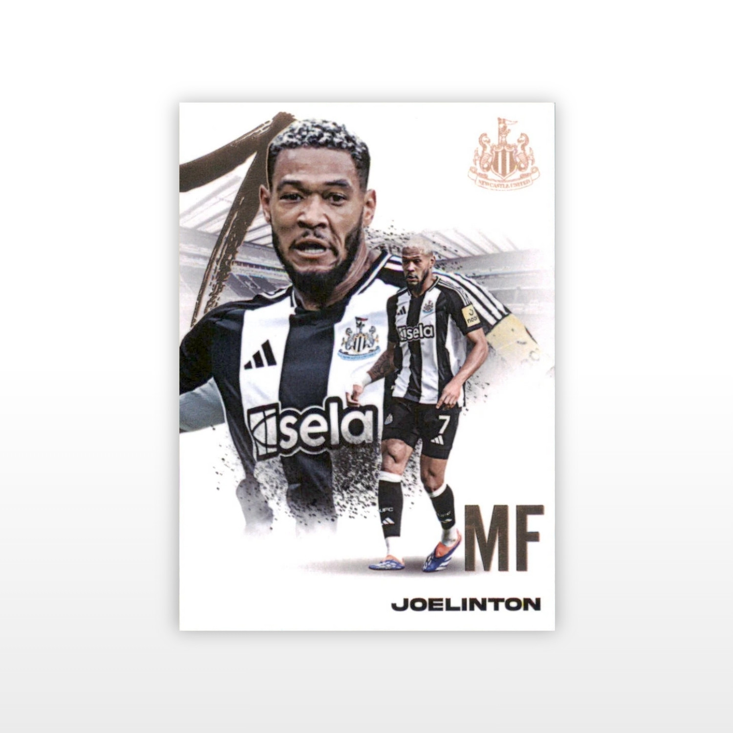 Futera Newcastle United FX Hobby Box 2024/25