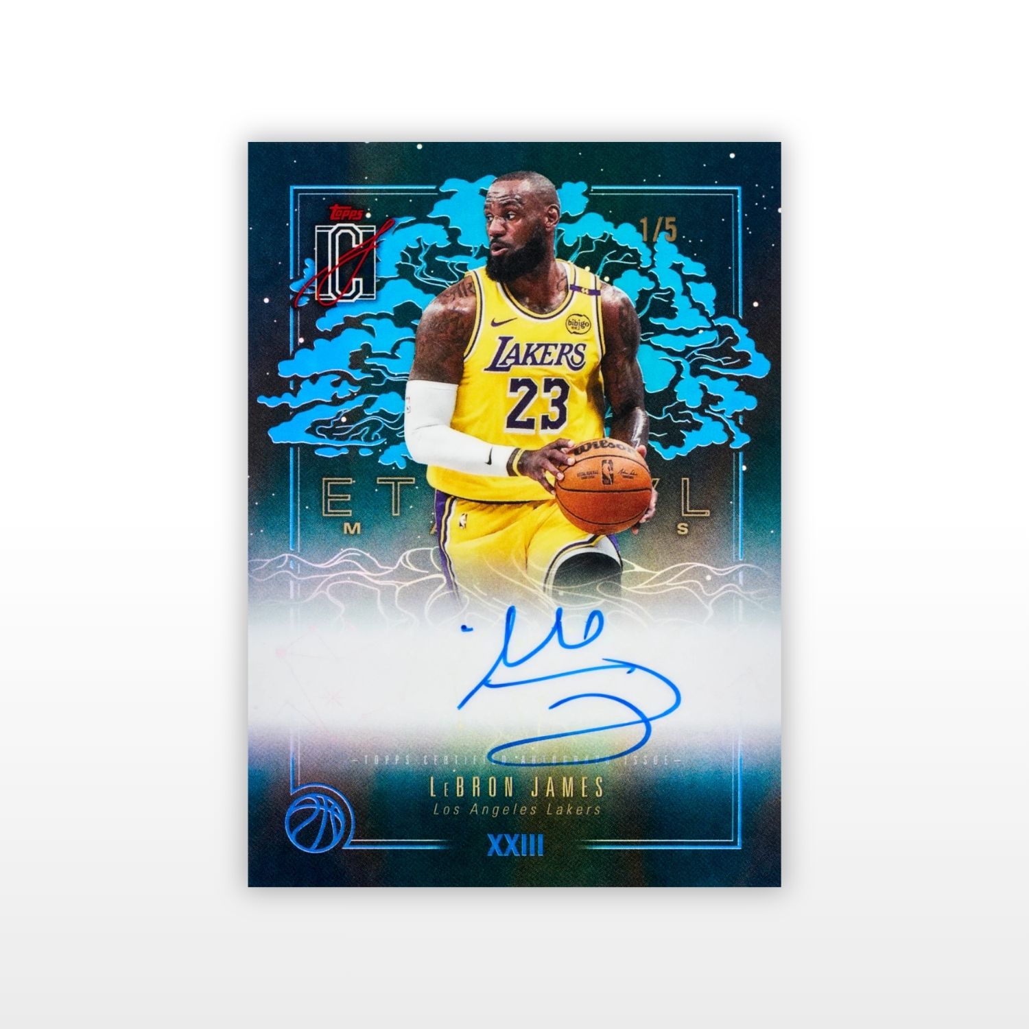 Topps NBA Signature Class - Value Box 2025/26